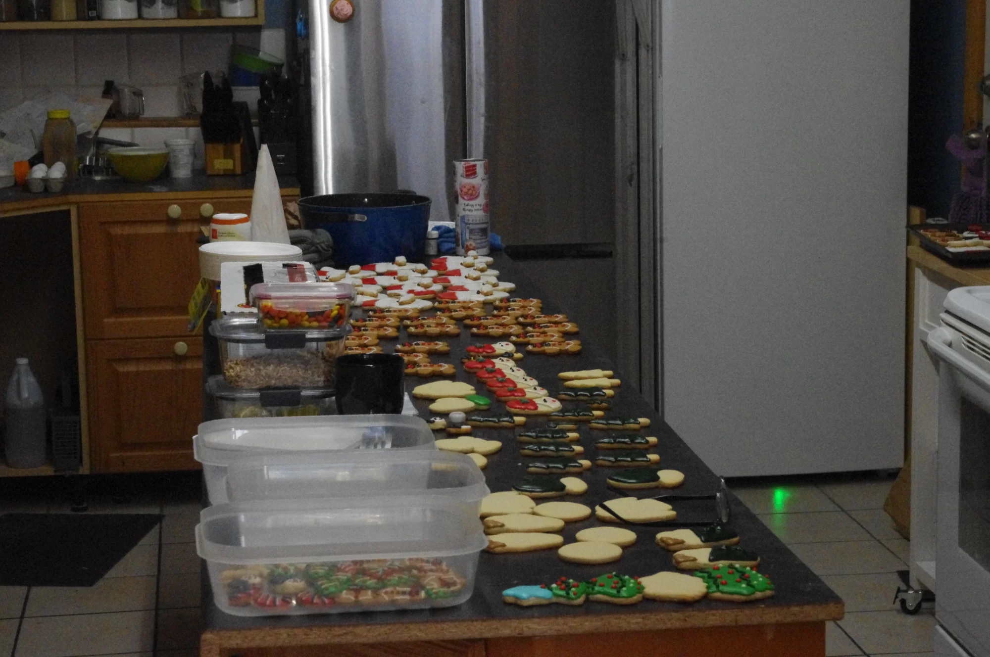 Kathy's decorated cookies